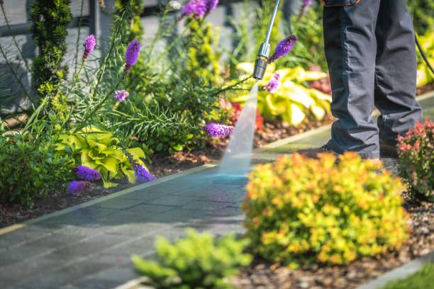 Best Residential Pressure Washing in Ingalls Park, IL