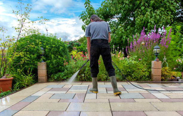 Best Roof Cleaning and Mildew Removal in Ingalls Park, IL
