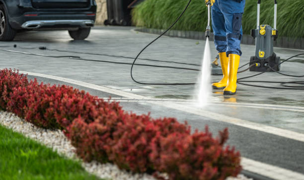 Best Parking Lot Cleaning in Ingalls Park, IL